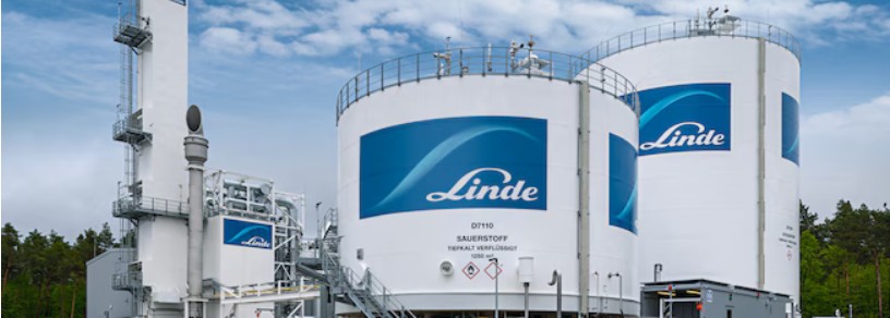 Linde Titelbild